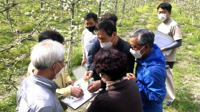 꽃눈피해를 조사하고 있는 농업재해조사단과 기술센터 직원들.jpg