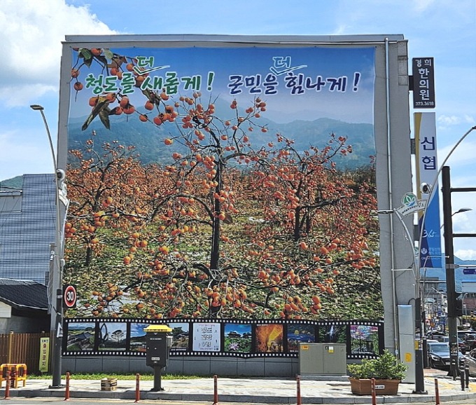 청도읍) 청도읍, 한발 빠른 특산물 홍보 대형 현수막 게시.jpg