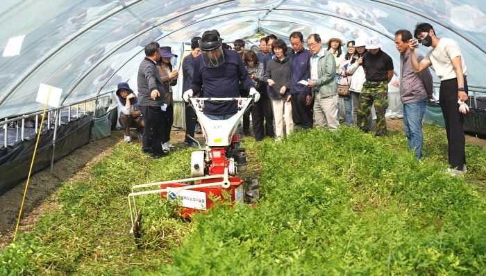 경북농업기술원, 미나리 재배 주산지에서 종묘 수확기 시연회 개최