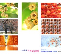 상주시, ‘감과 곶감의 사계’ 사진전시회 개최