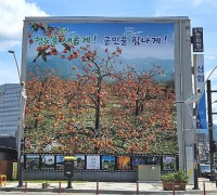 청도읍, 한발 빠른 특산물 홍보 대형 현수막 게시