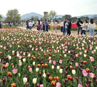 경주 주요 사적지, 튤립과 양귀비 등 봄꽃으로 만개