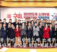 경북 구미 첨단반도체 소재부품 특화단지 유치, 국회토론회 성료